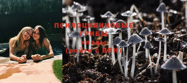 винт Мегион