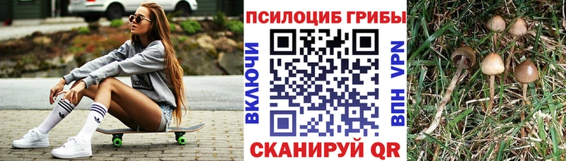 Псилоцибиновые грибы GOLDEN TEACHER  Щигры 